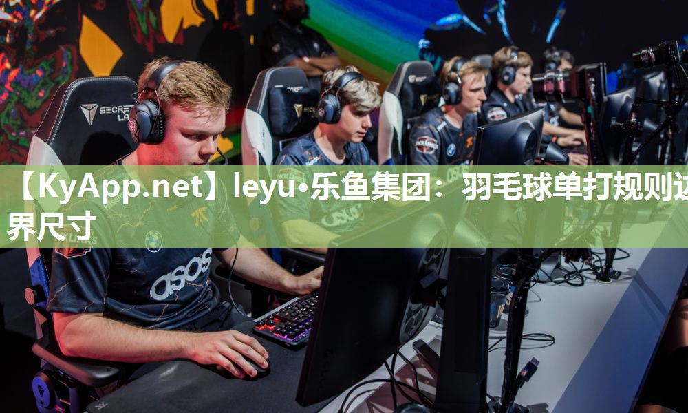 羽毛球单打规则边界尺寸 羽毛球单打规则边界尺寸