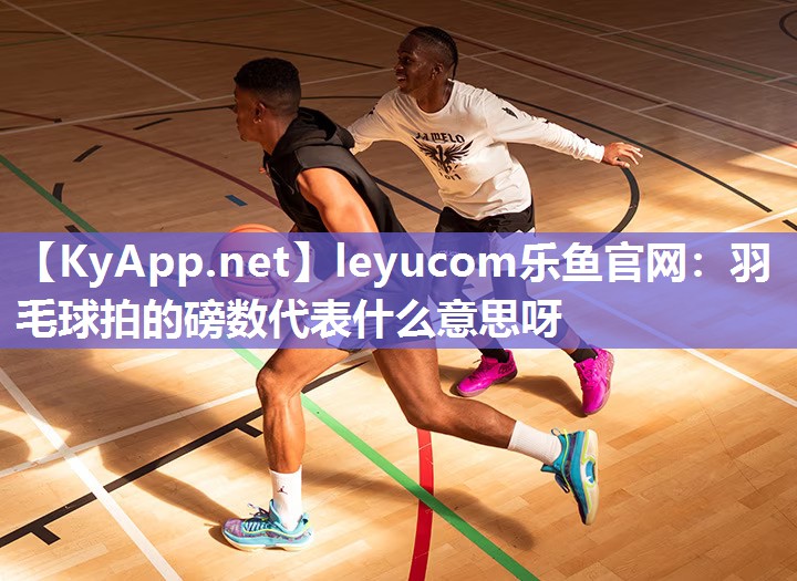 羽毛球拍的磅数代表什么意思呀